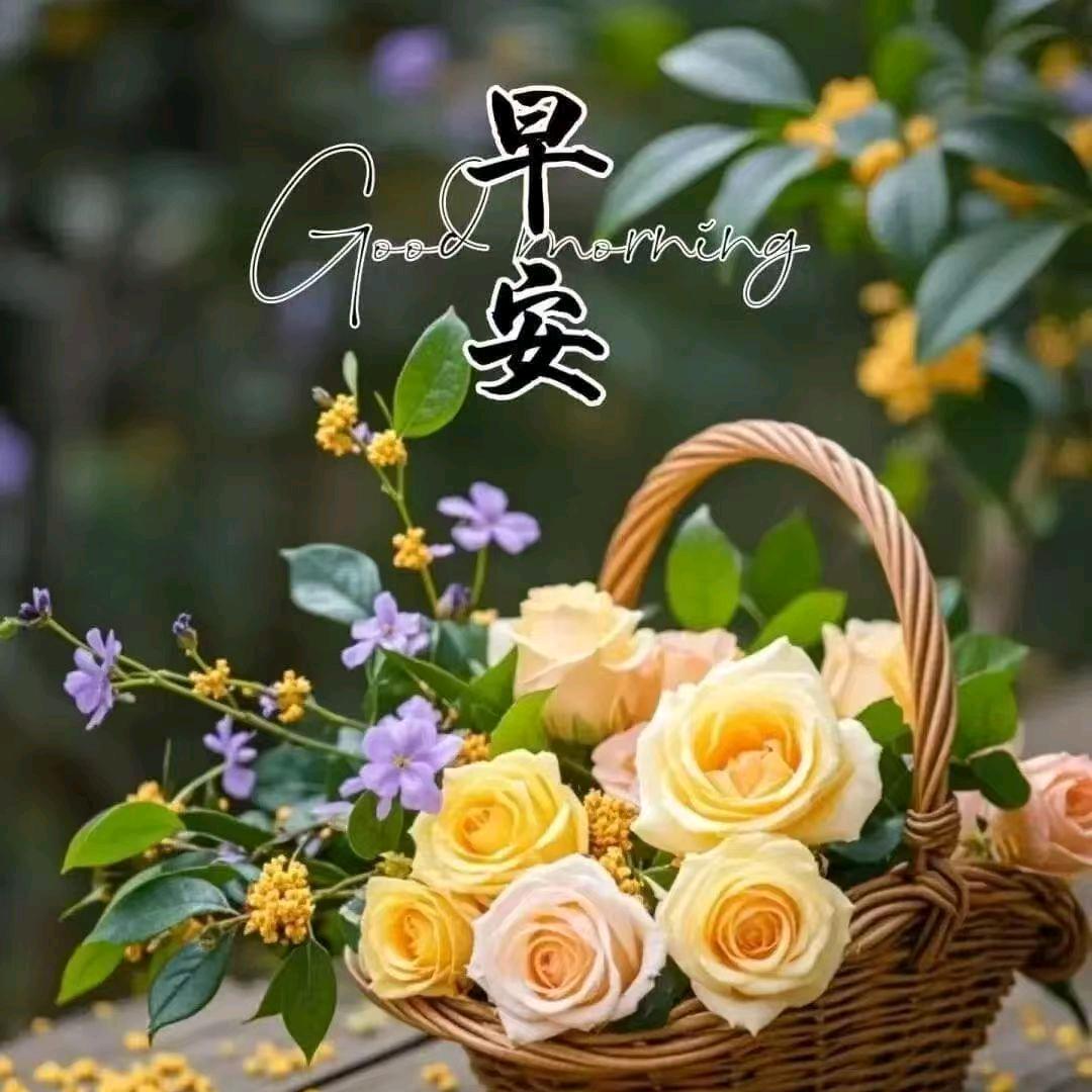 @小涵@
