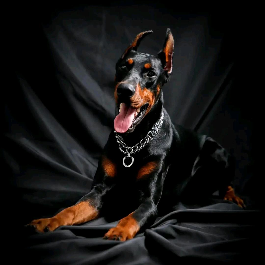 ʟ̆̈ᴜ̆̈ᴄ̆̈ᴋy☘️