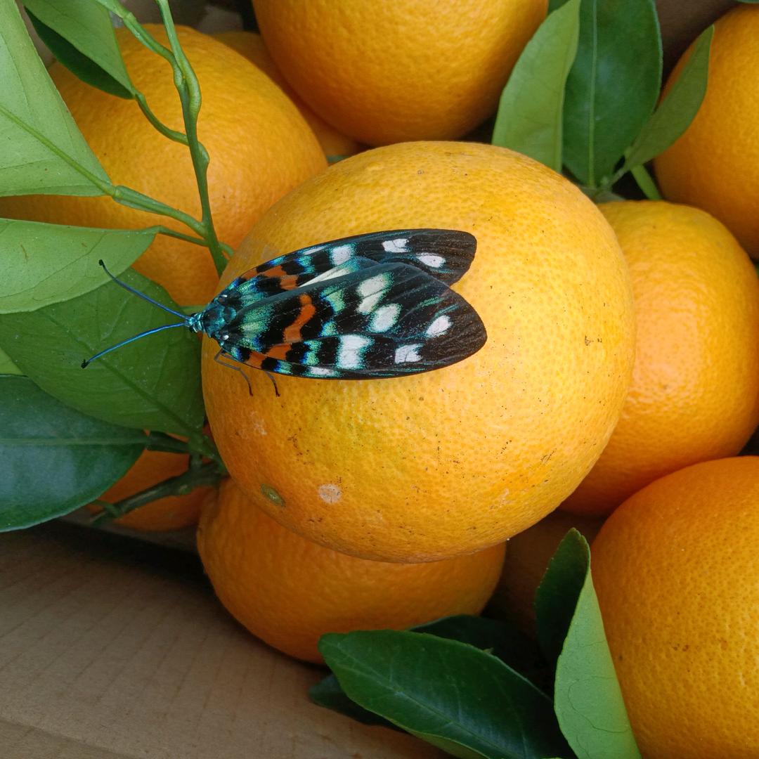 吃醋是最诚实的告白