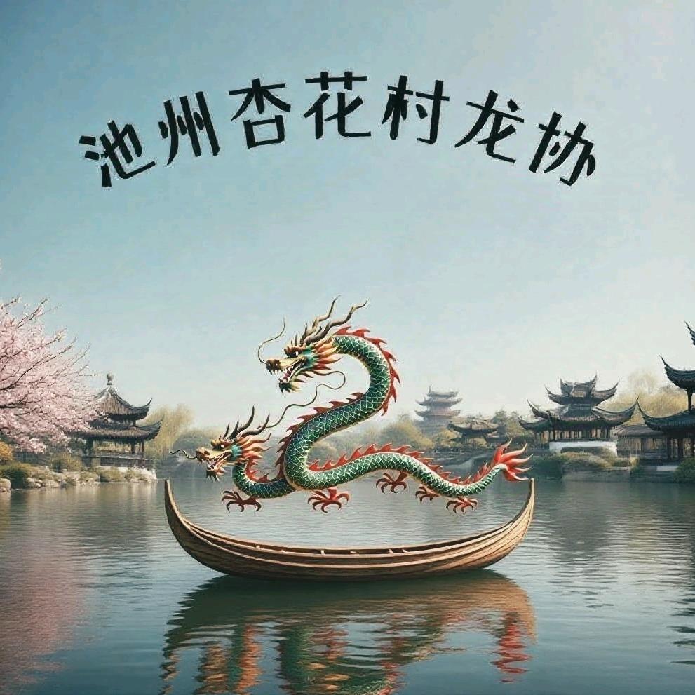 （^O^池州龙舟）