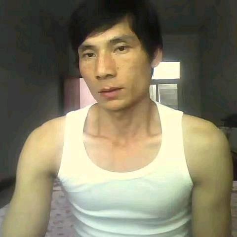 无心的漂泊