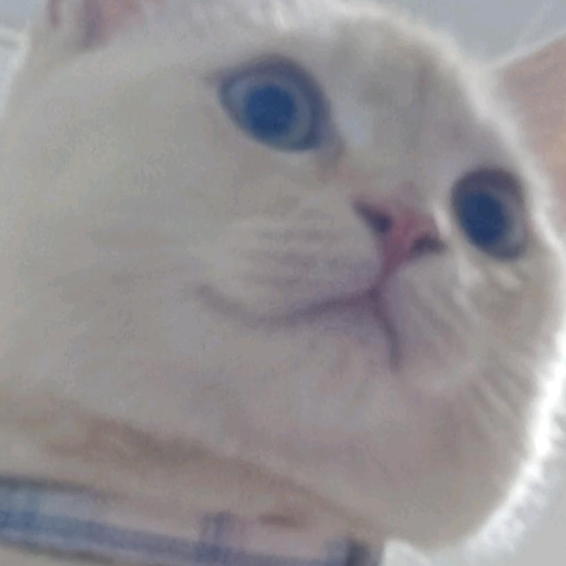 苯氨