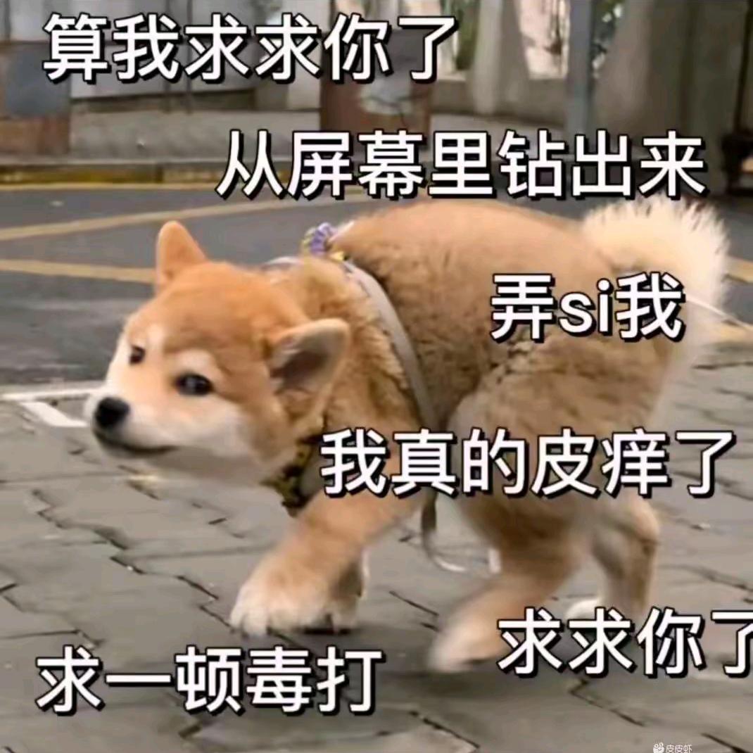 站着拉屎的鱼