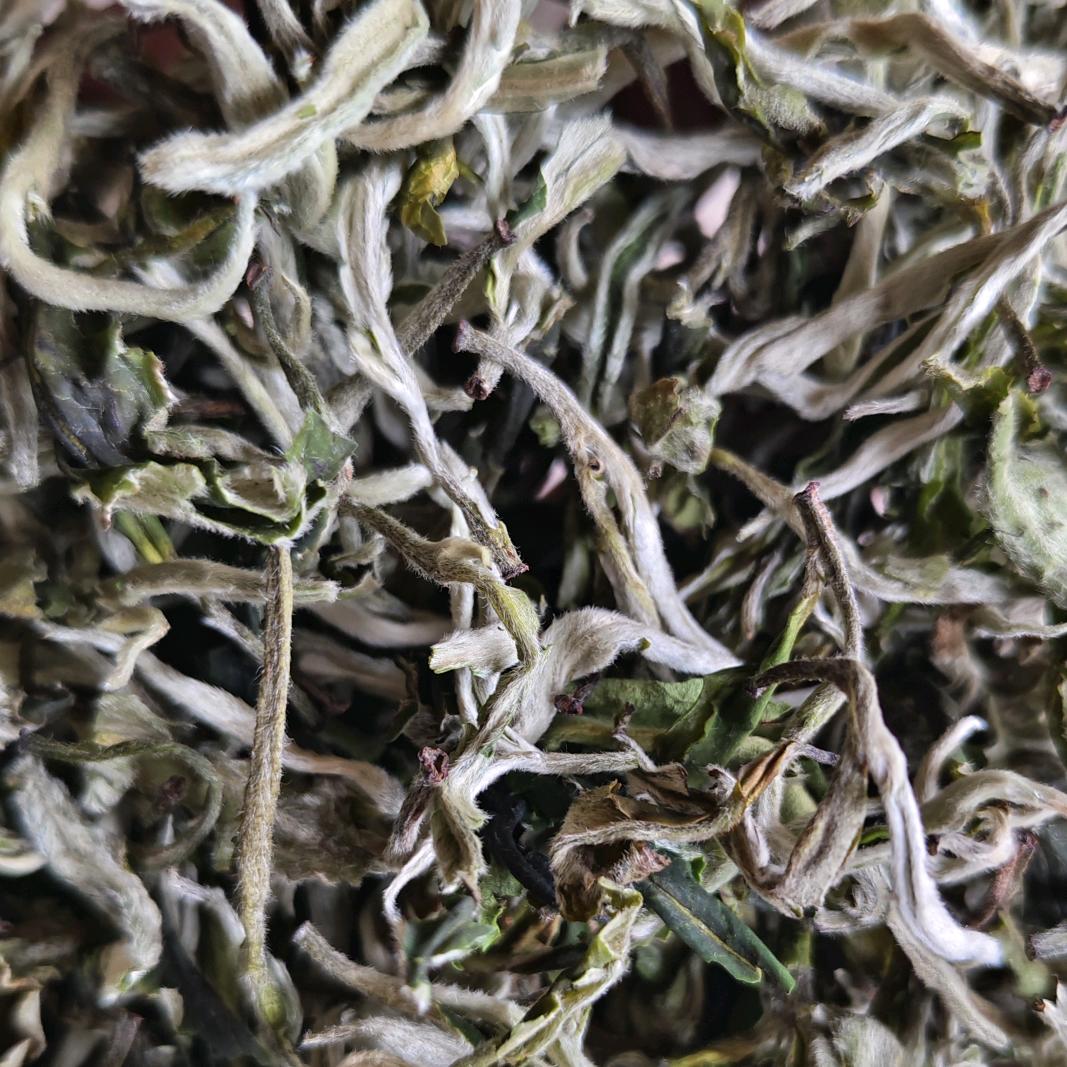 富强茶叶劳务部