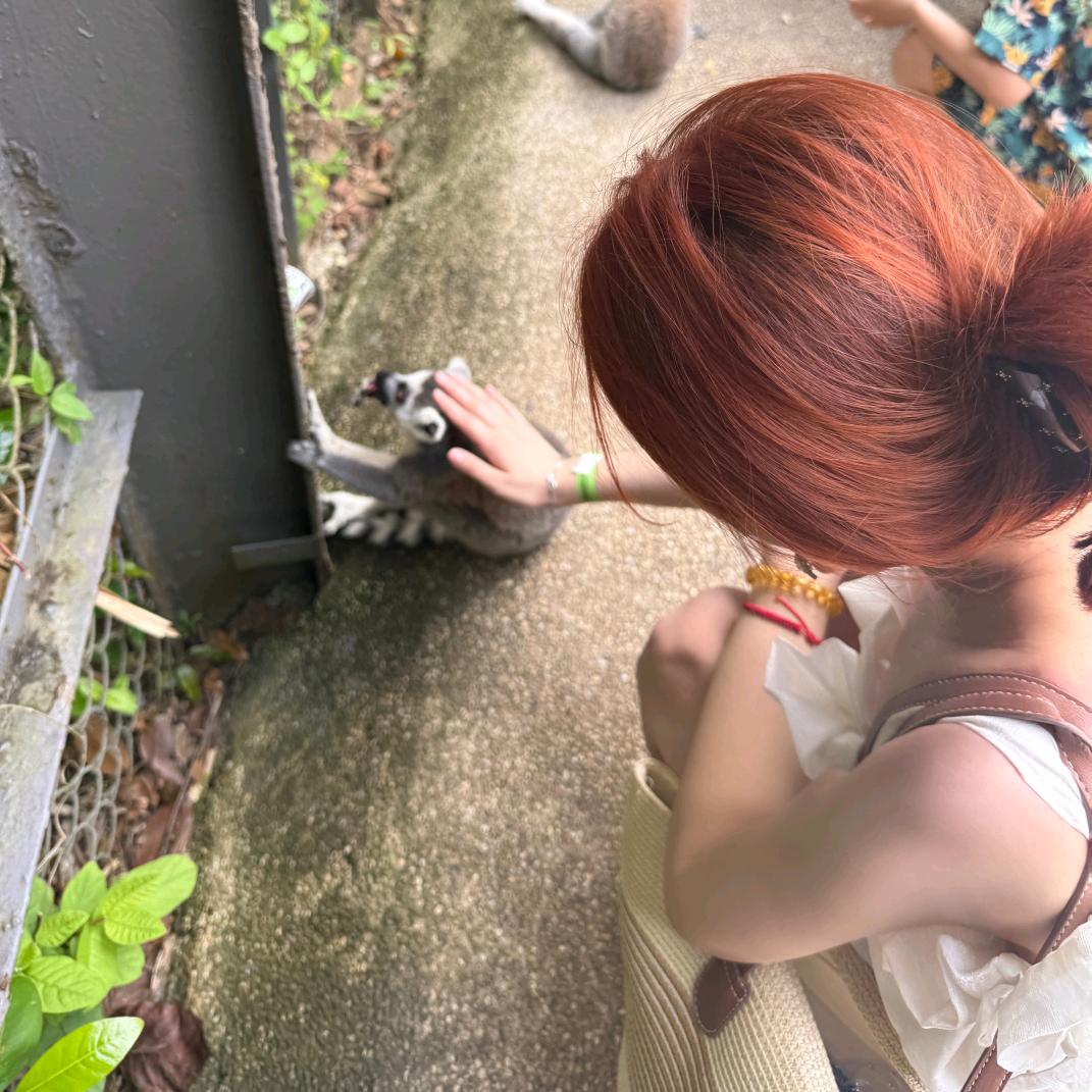 冬菇🇹🇭