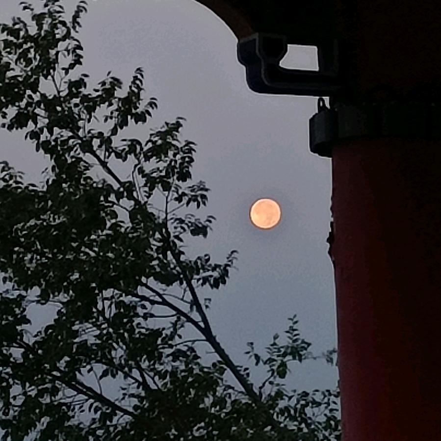江心