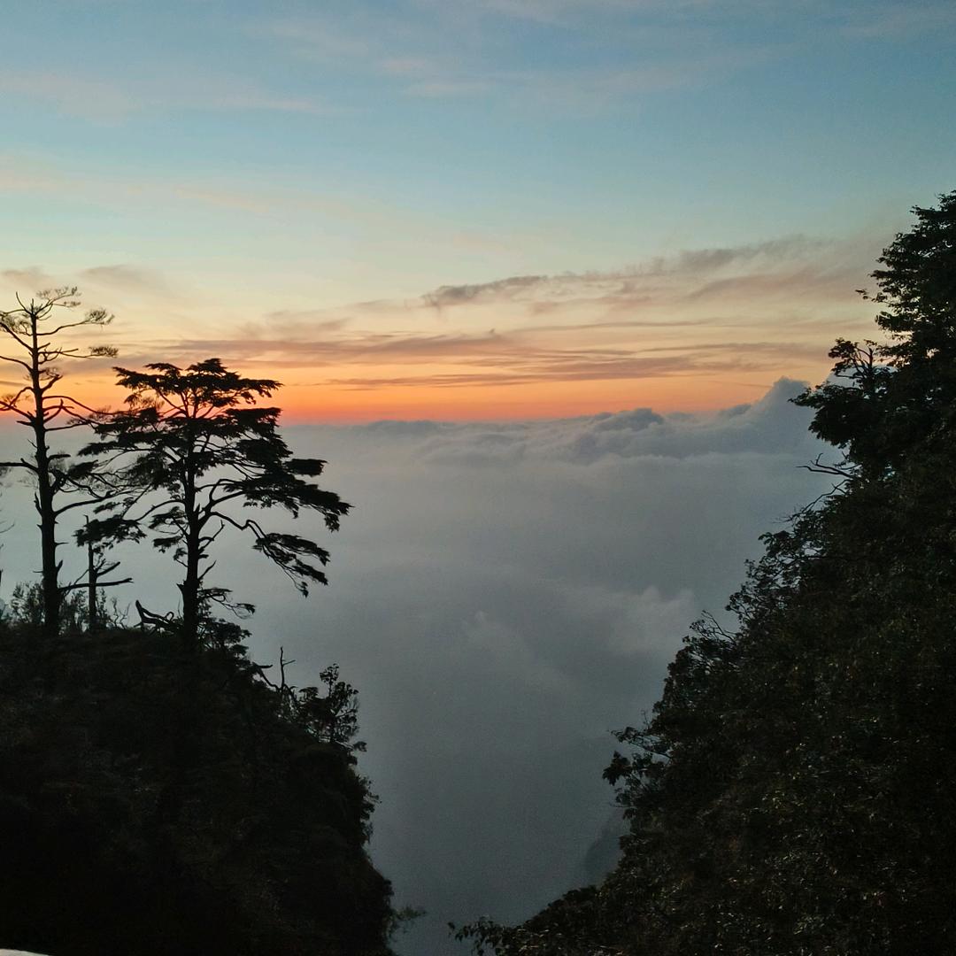 @三十张（彬彬新同学）