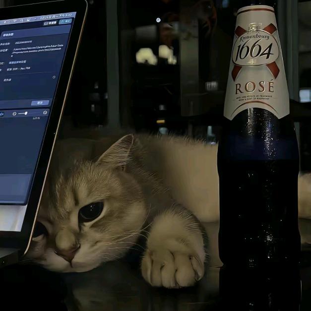 请叫我道长先生