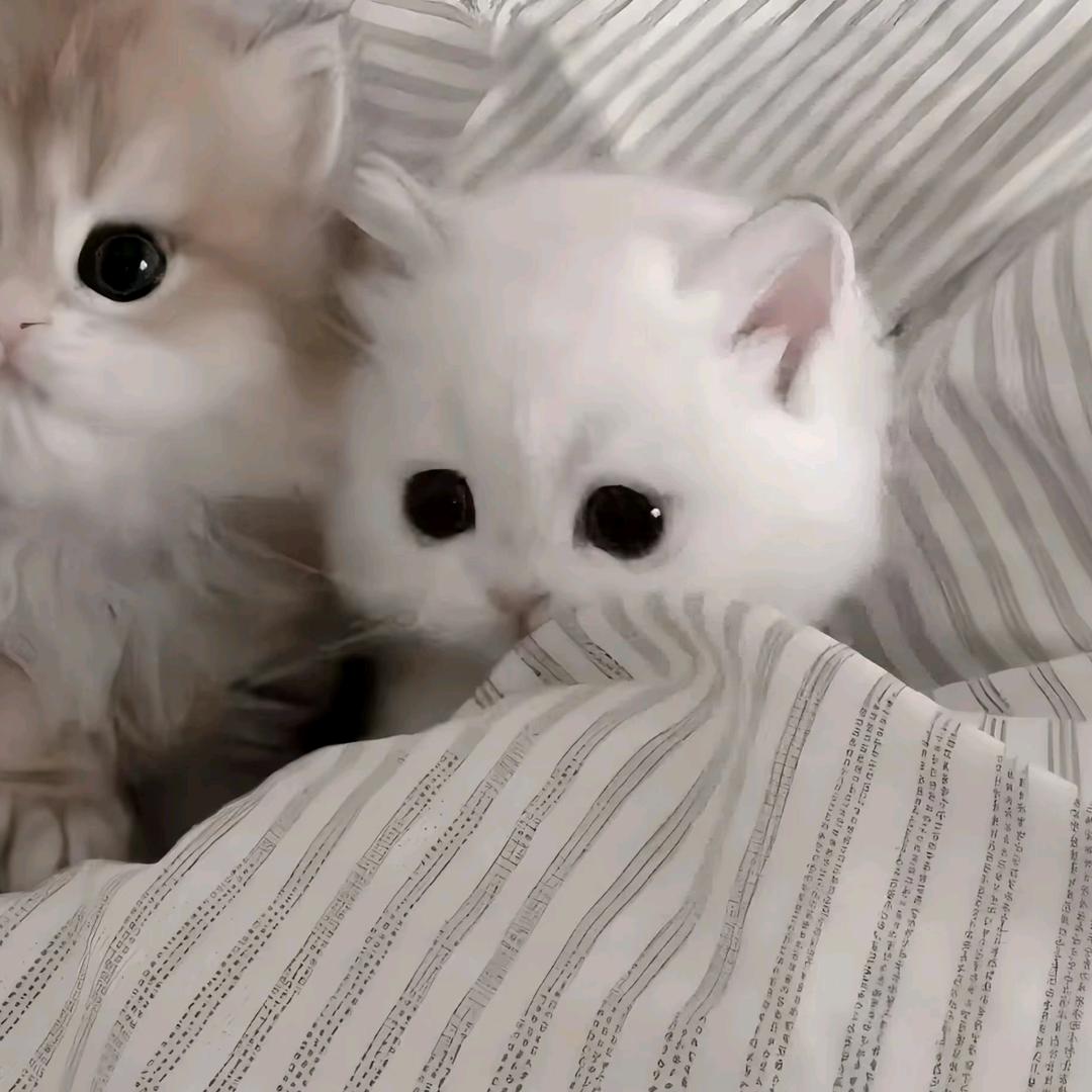 小暖