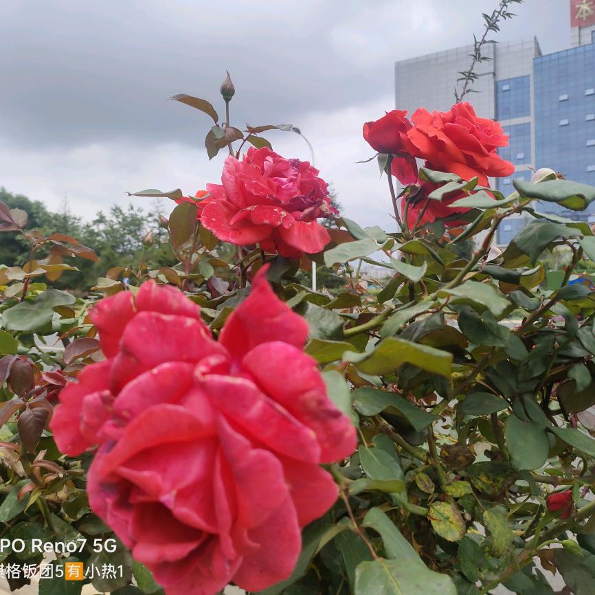 忘记烦恼从头再来