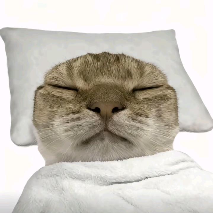 自渡轻舟拥万山