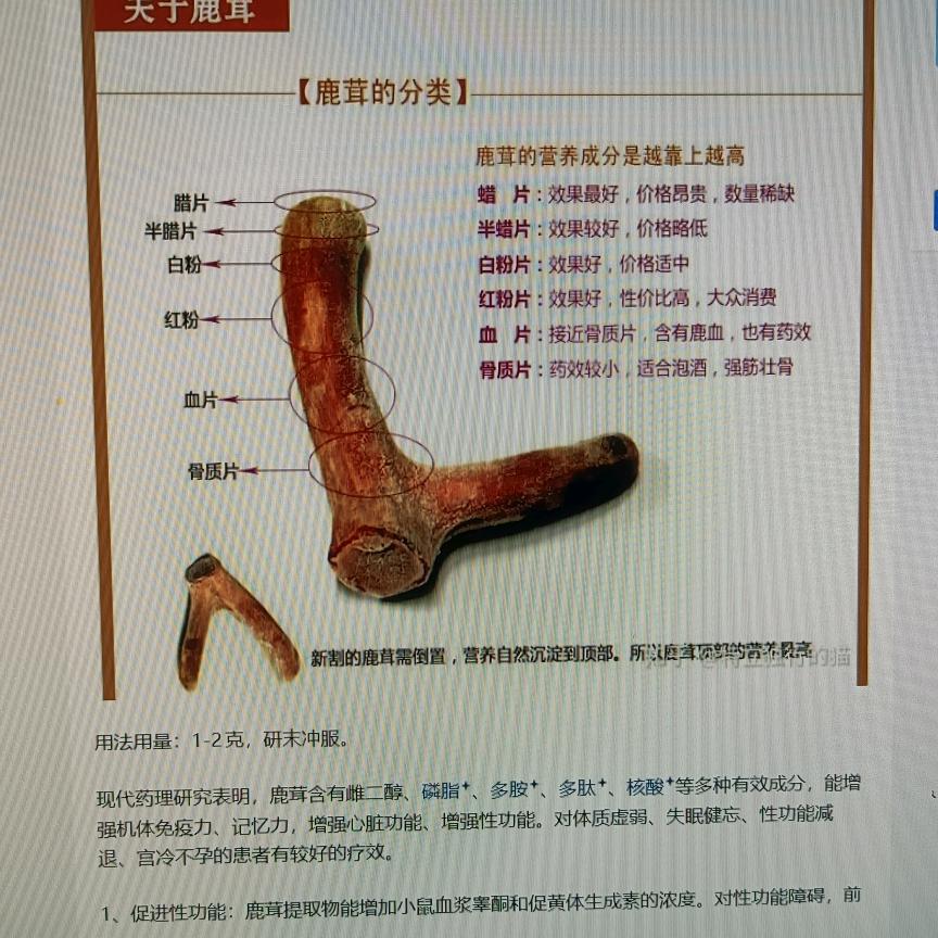 精灵粮小铺