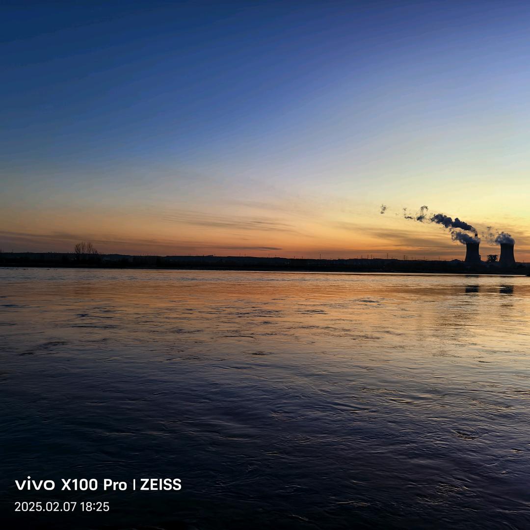 一只直播搞科研的青椒