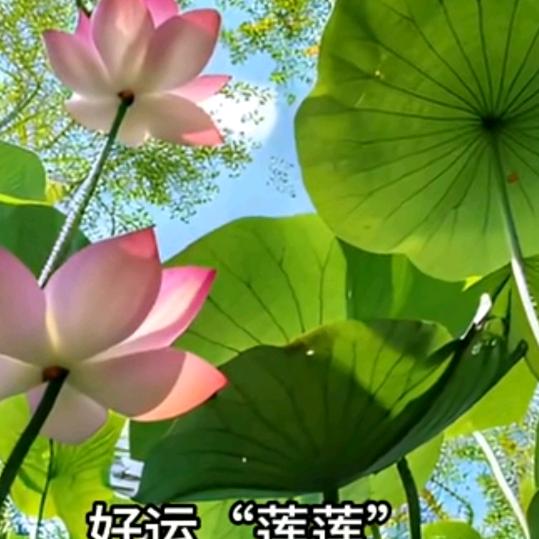 想念远方