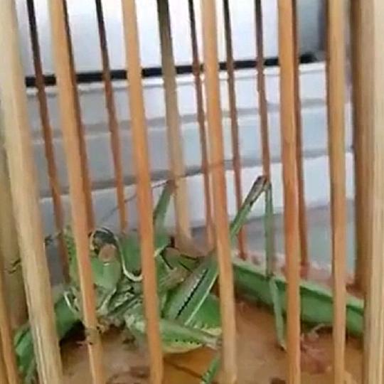 健康快乐。，