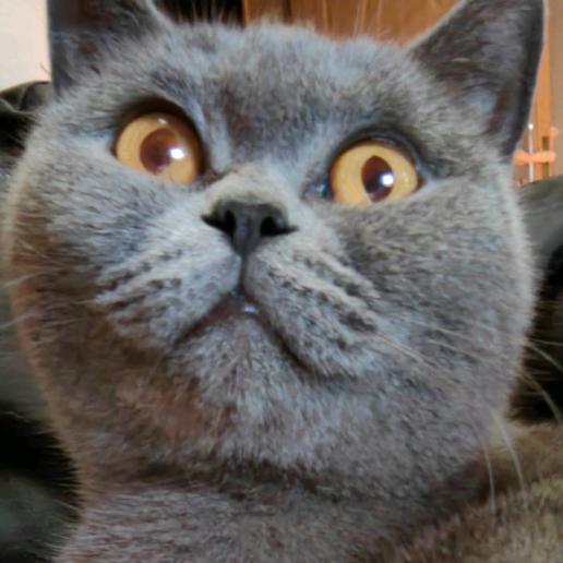 你吃粑粑你还有理了