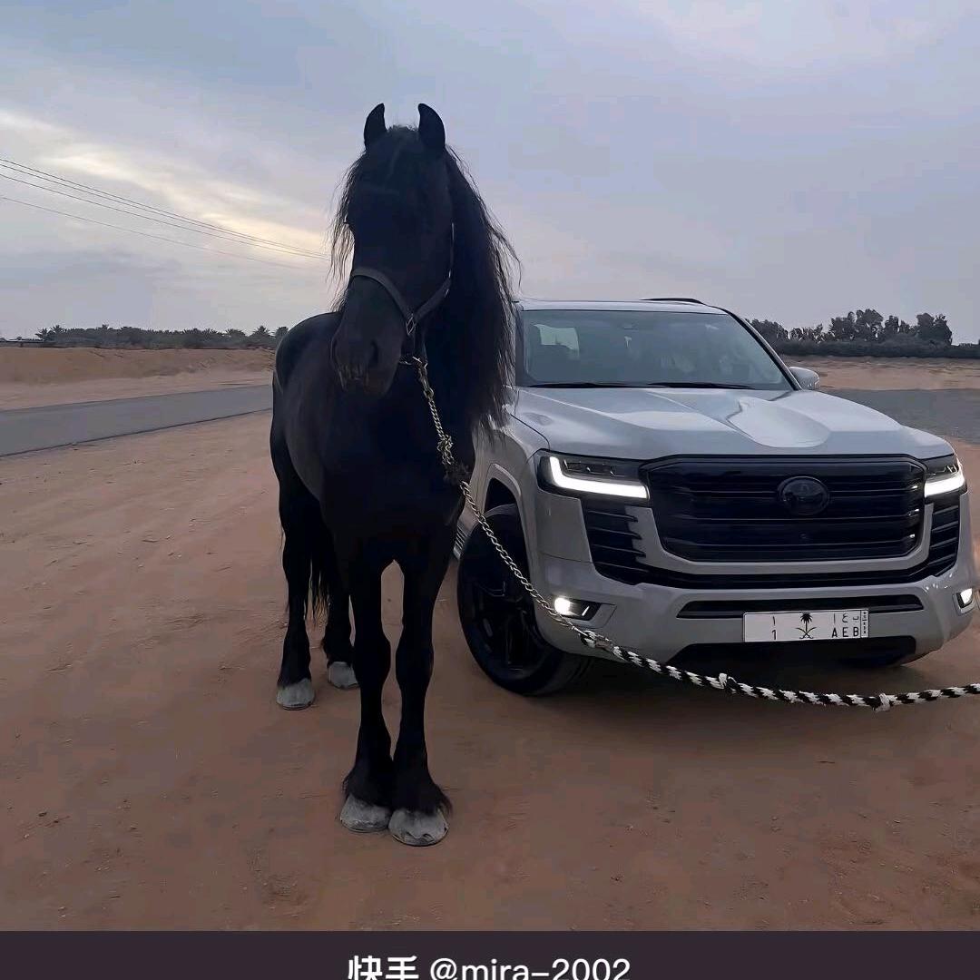 昌吉