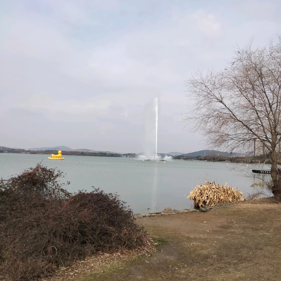 🏅🎖家和万事兴！