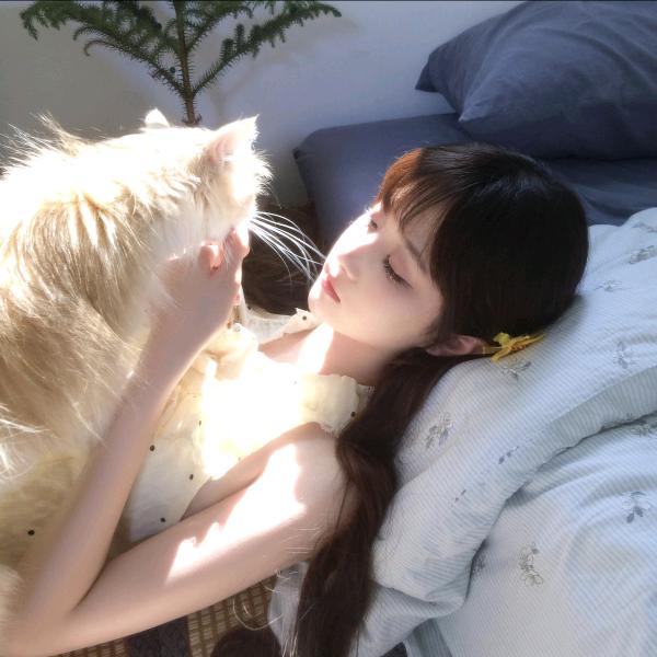 小狸花花