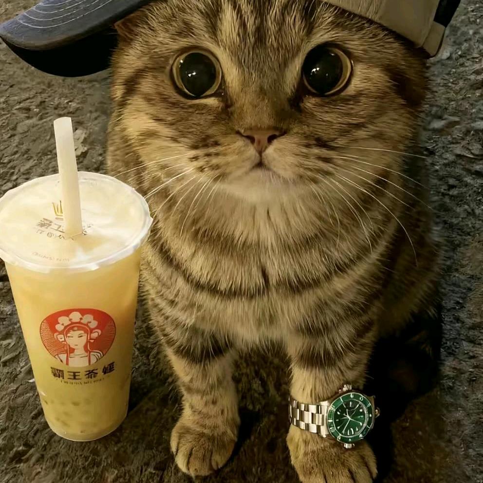 张玖栎头像