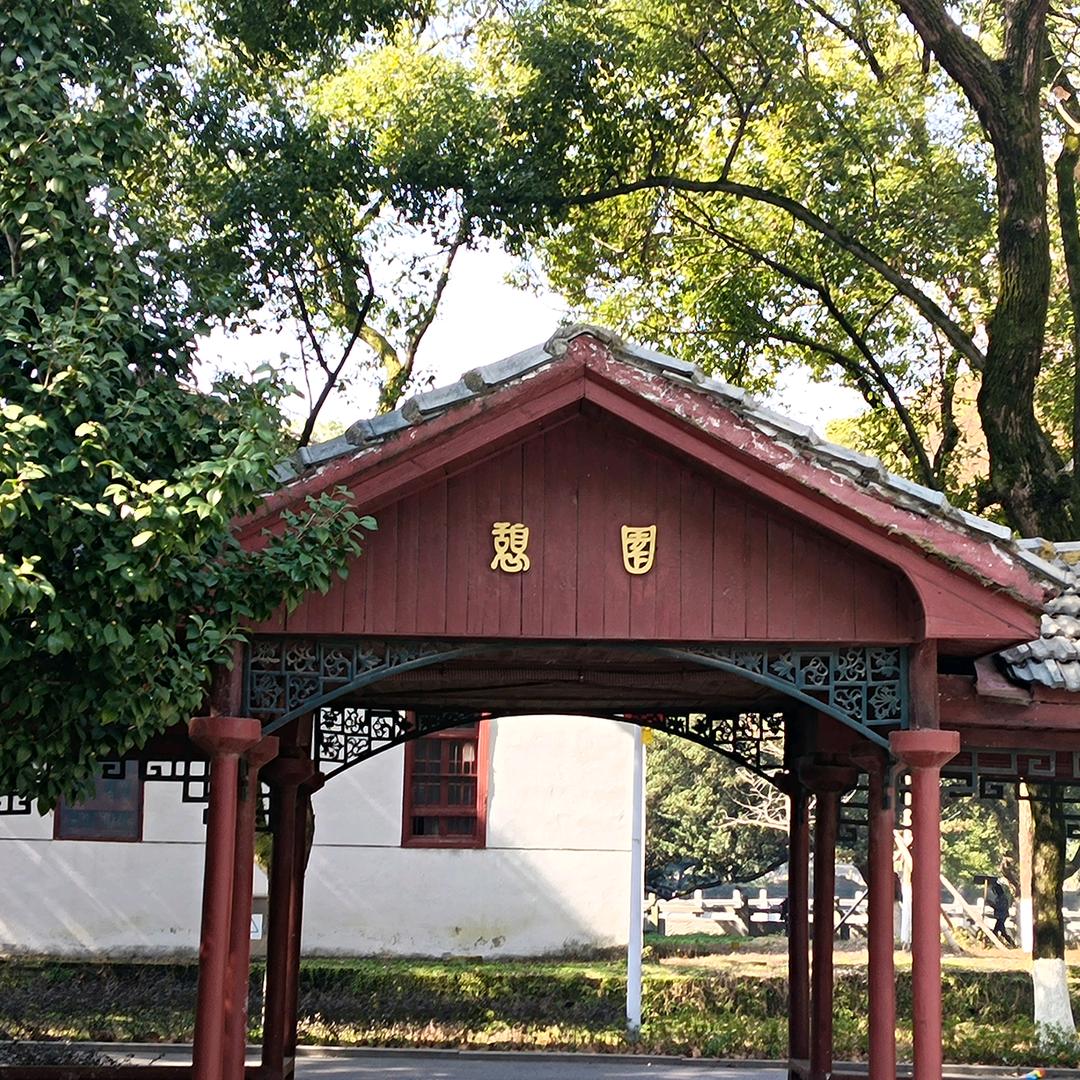 向阳而生