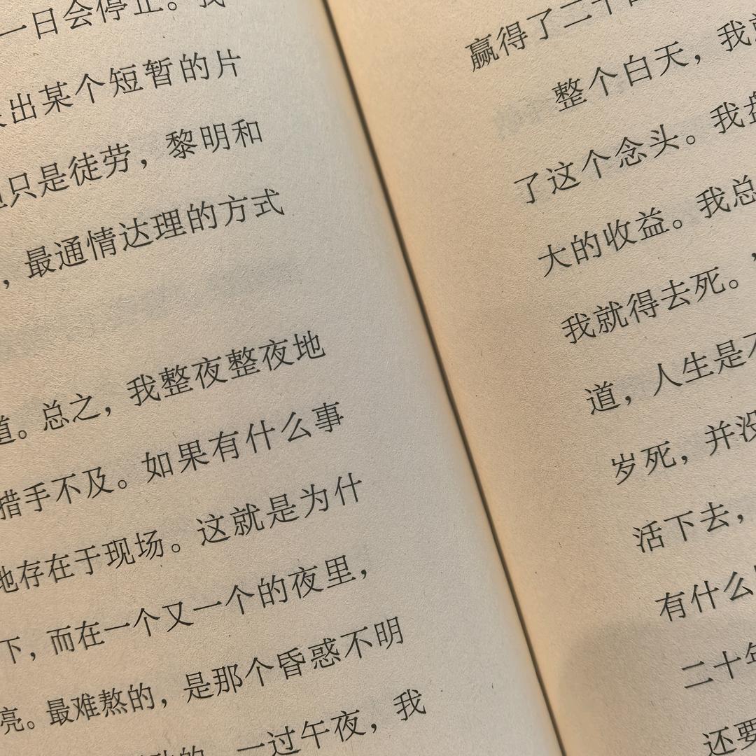 虎文化🐯