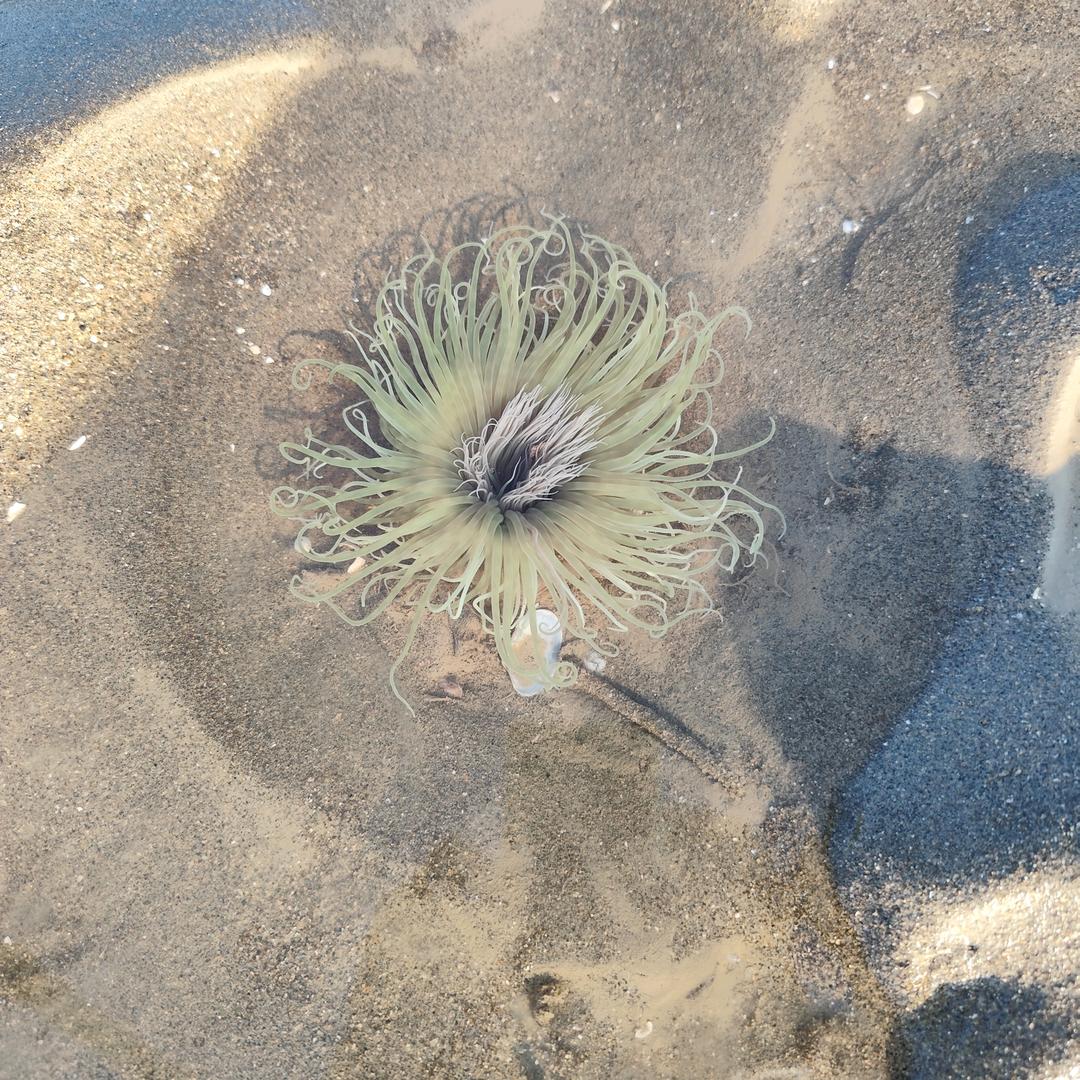 卖导弹的小男孩