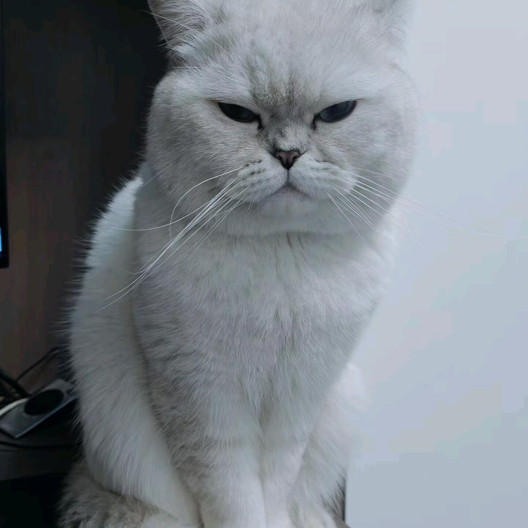 陈楠