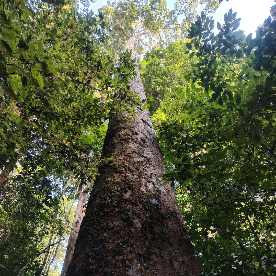 牧马南山💎✨*¨*