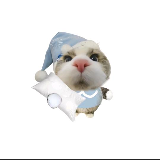 眠羊