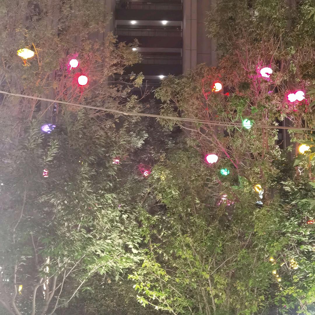 心宽福自来（外卖阿姨）