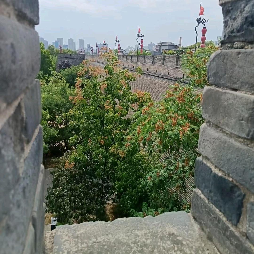 🇨🇳成功翱翔🛠