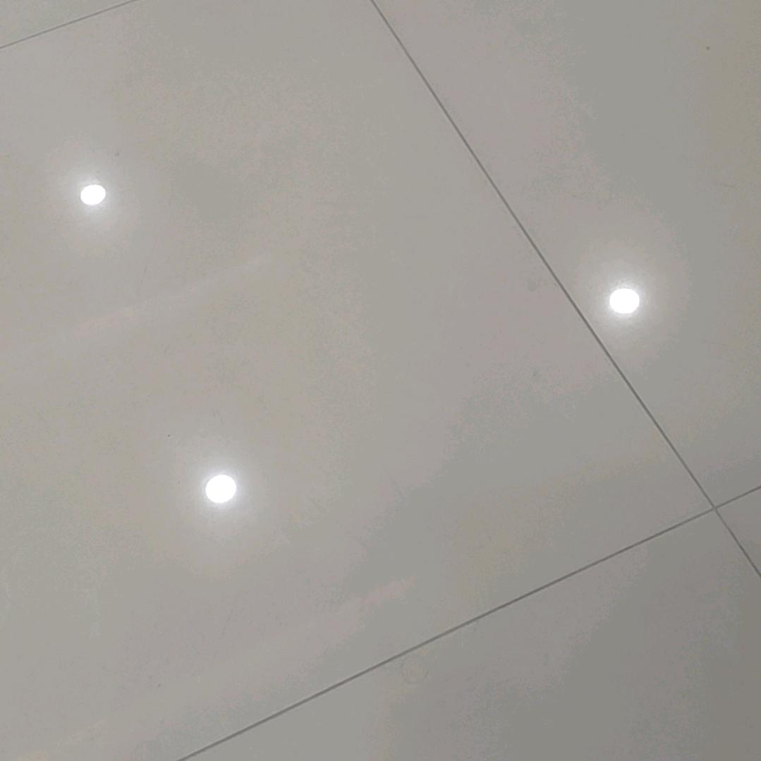 F1