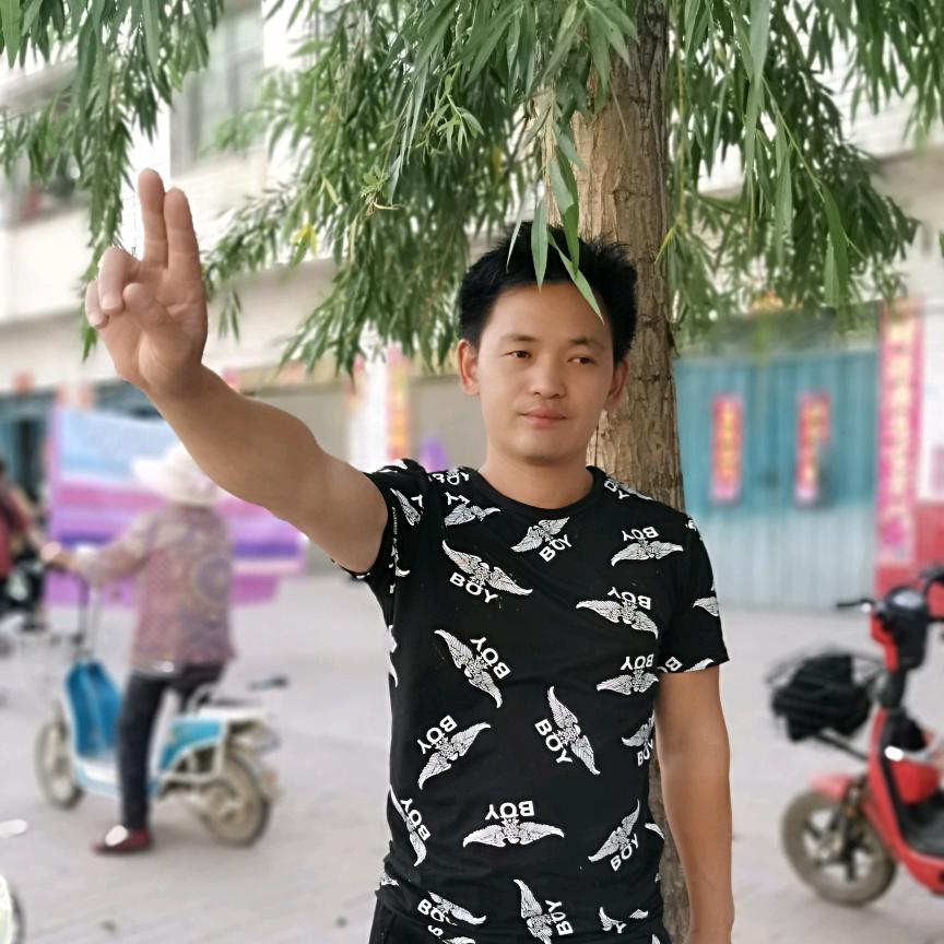 🌻光🌻军🌻辉