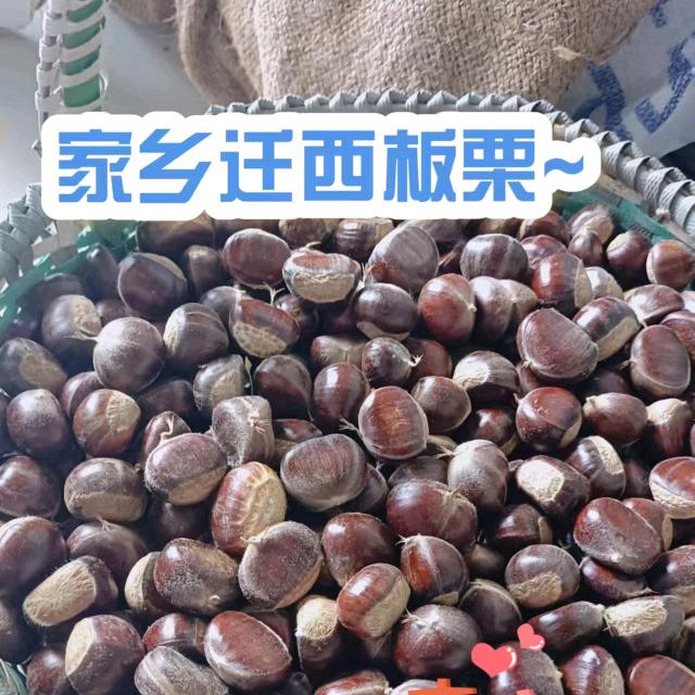 程先 生