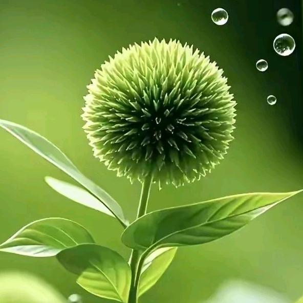 春暖花开1