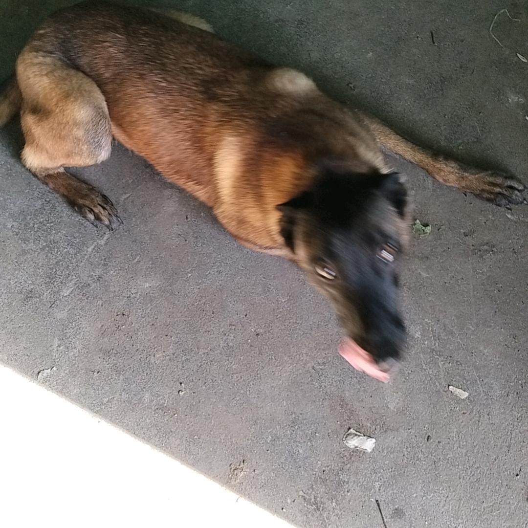 孙姐姐🌹🌹🌹🌹