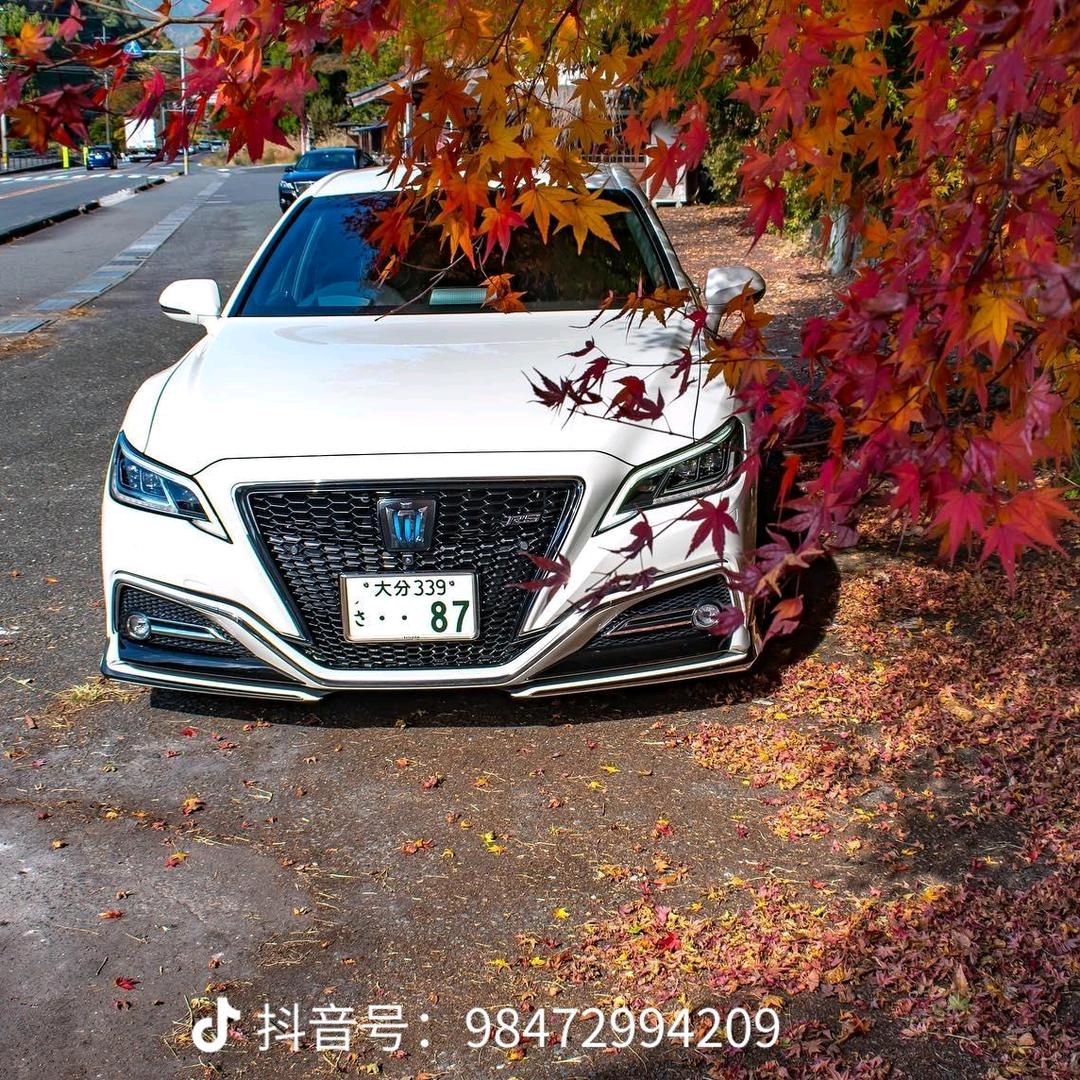 夜闲清莹梦落花