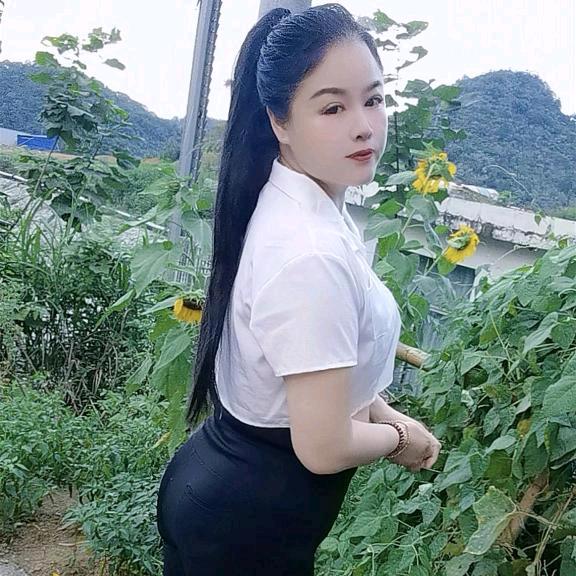 单身胡芸