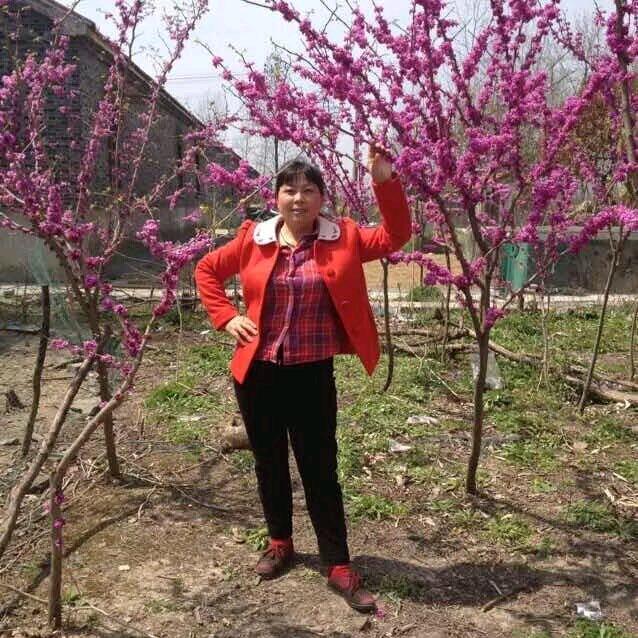 小老四