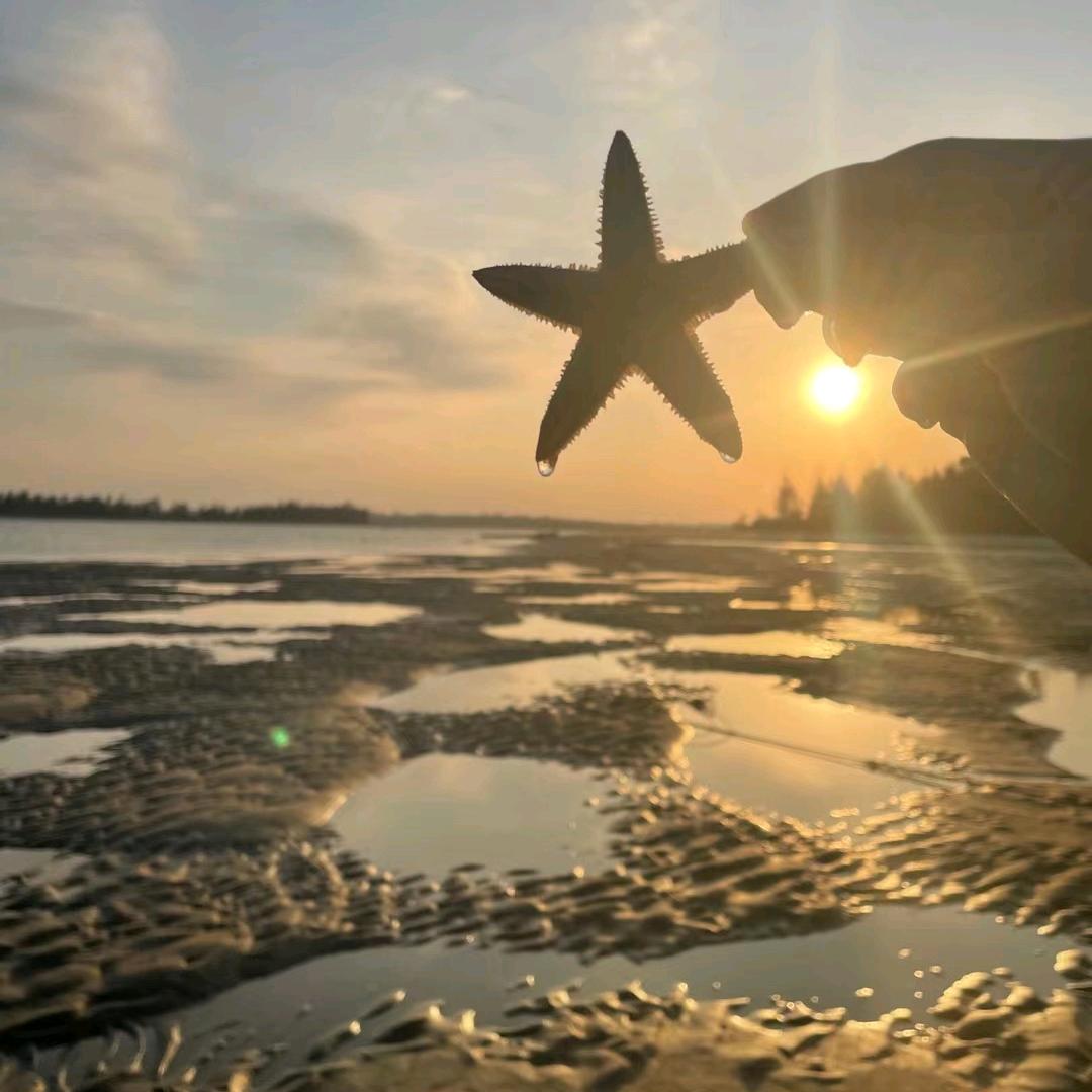 兰子·北海旅行