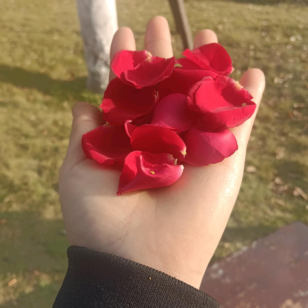 惊涛海浪风平浪静儿女双全心愿餐馆特