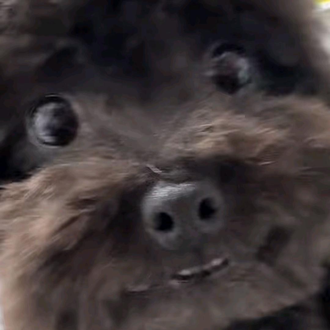 进与否