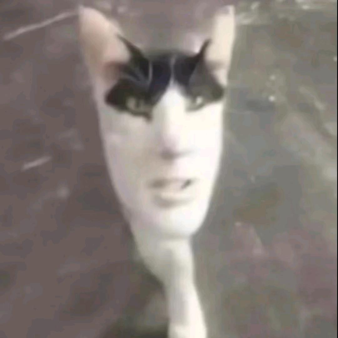 420