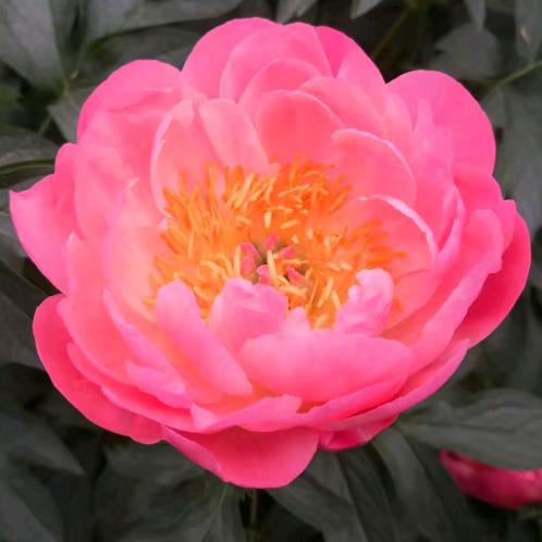 🌈山水💯吉祥🌲⁷⁶⁶