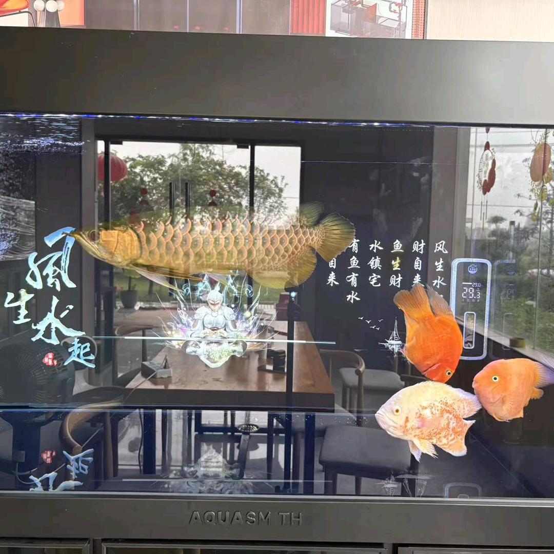 鱼乐圈