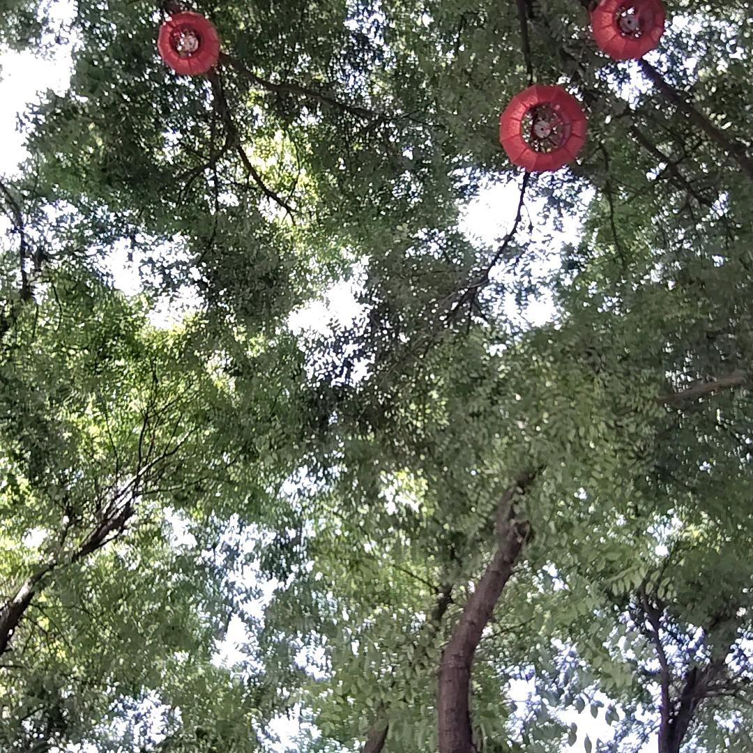 彬州十三妹