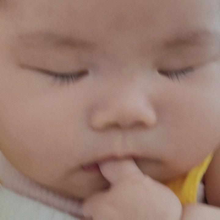 王独秀