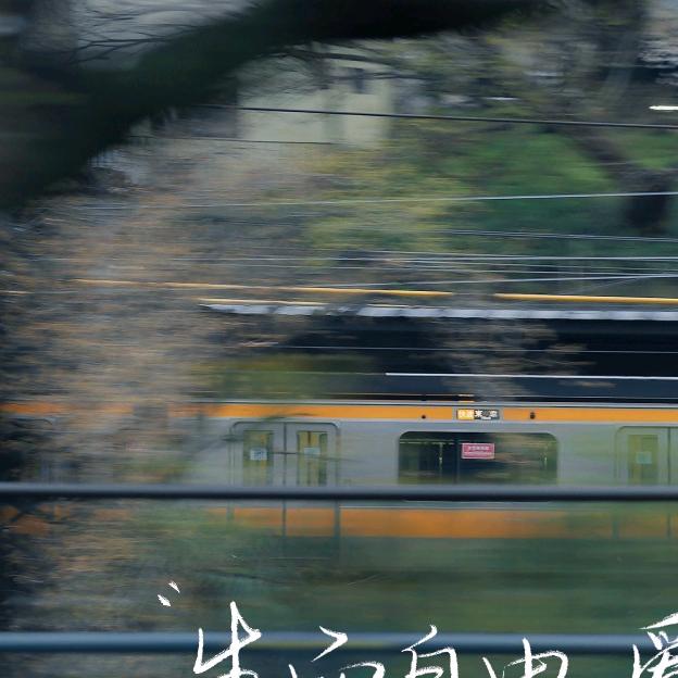 不归客