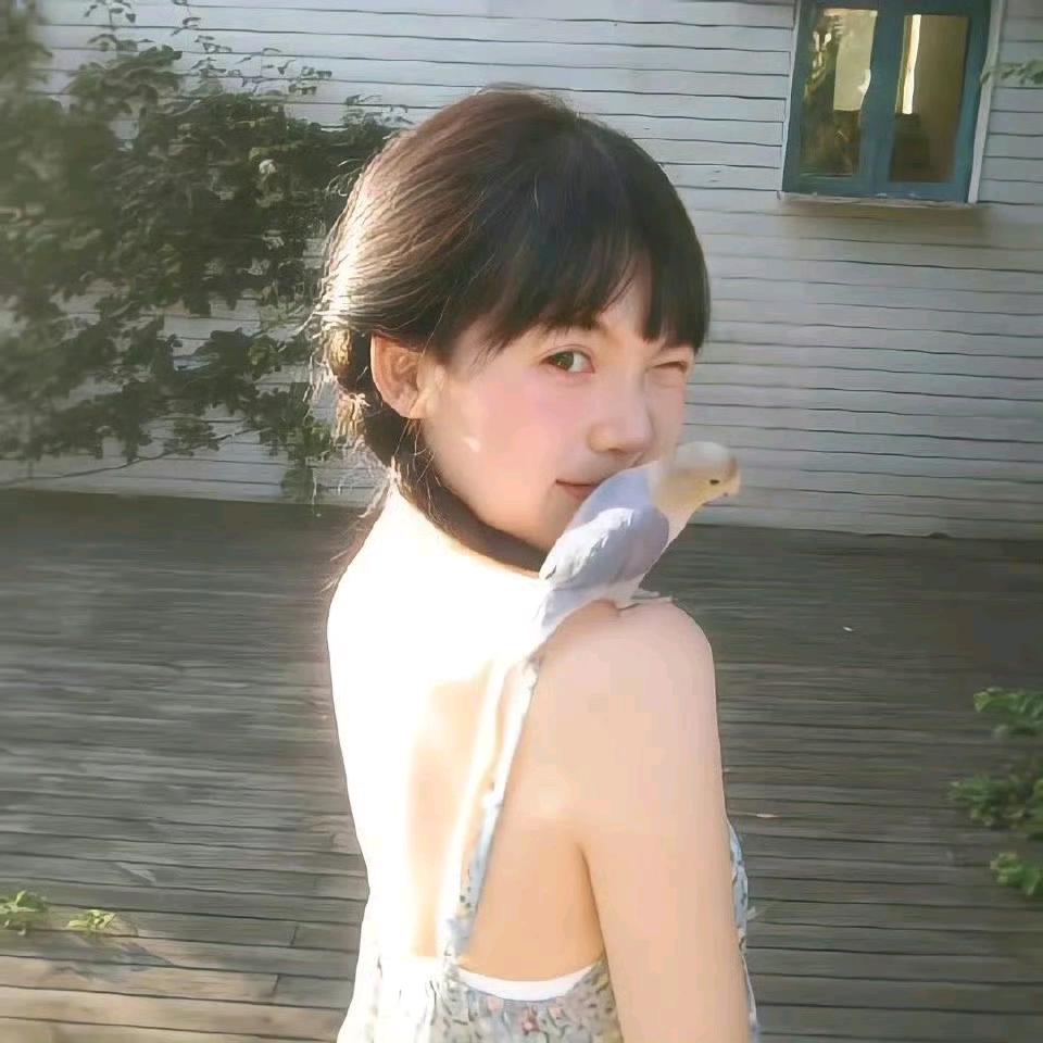 你不要喵喵叫